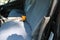 2025 Chevrolet Low Cab Forward 5500 XD NA